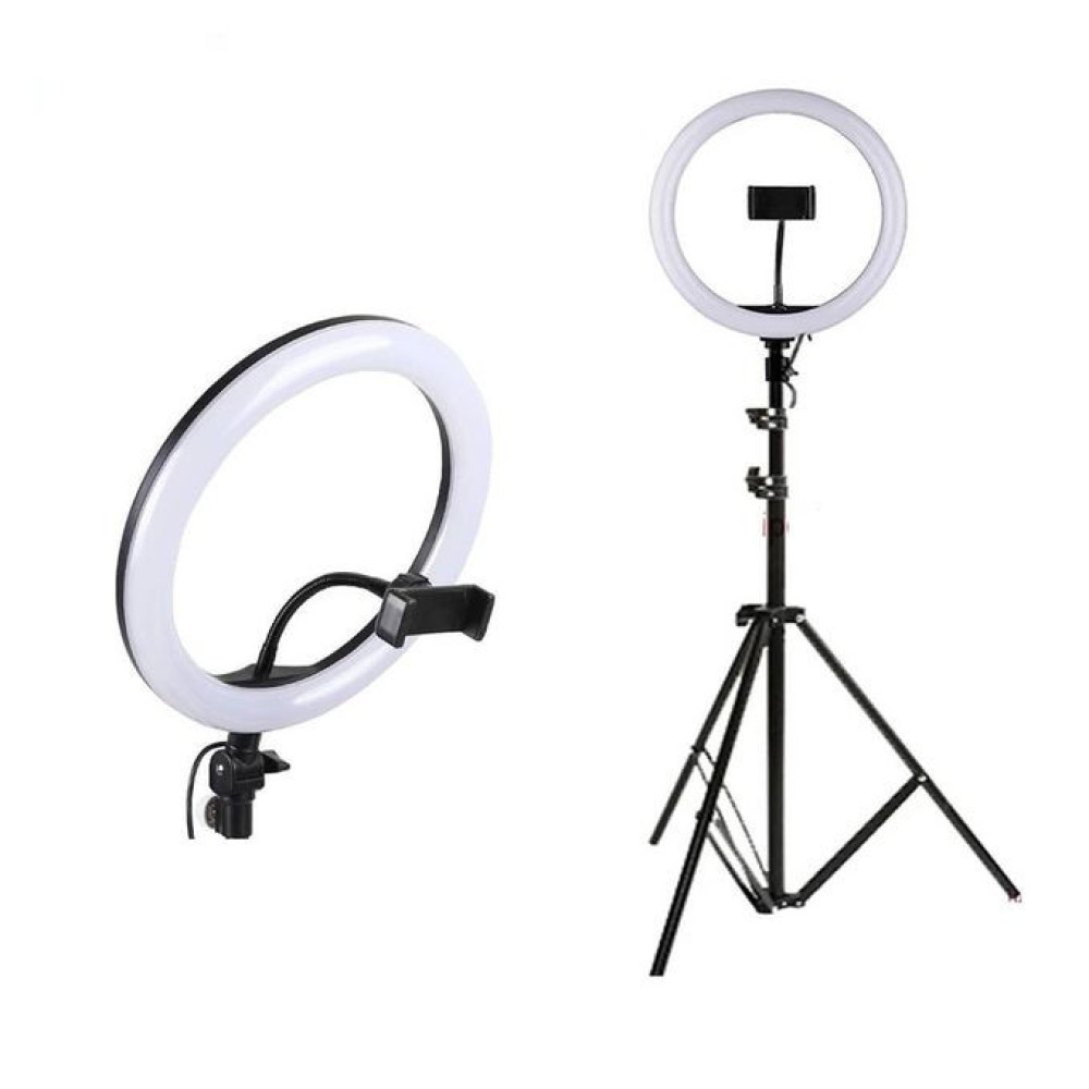 12'' Unique Selfie Ring Fill Led Light & Projection Stand