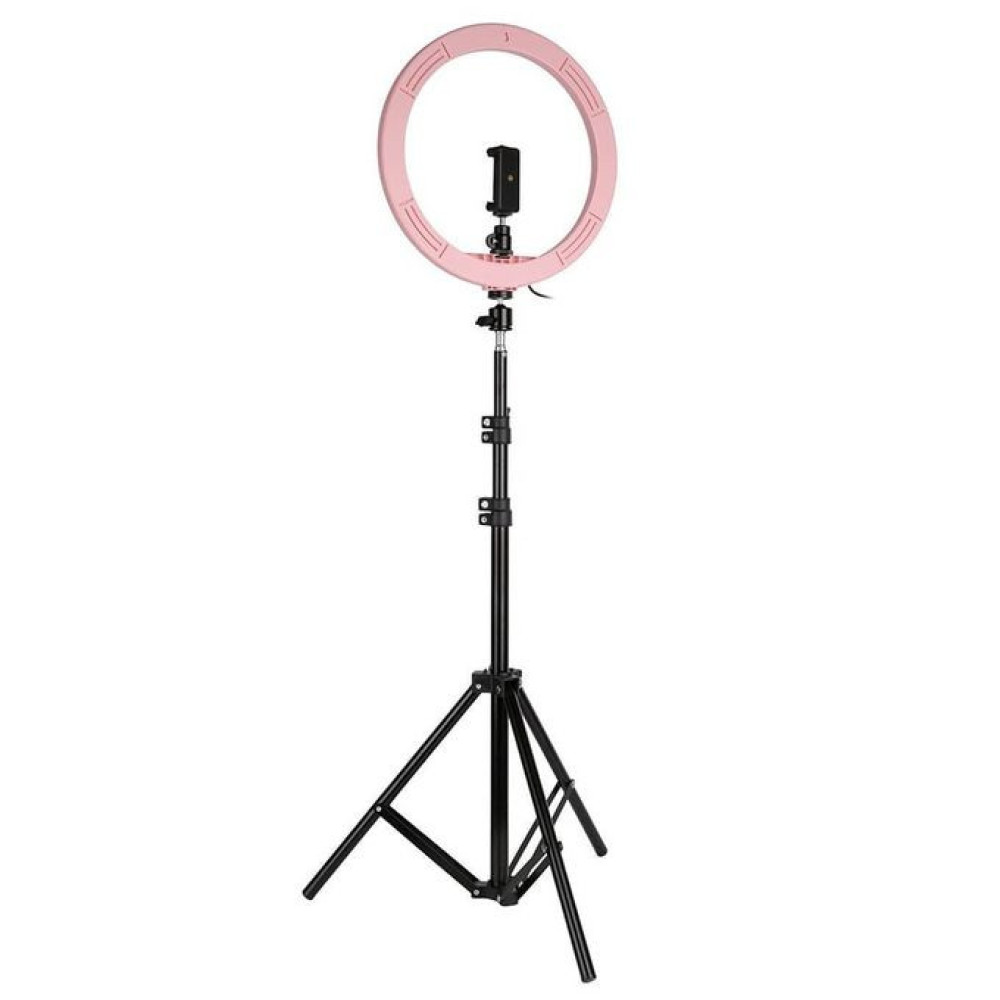 12'' Unique Selfie Ring Fill Led Light & Projection Stand