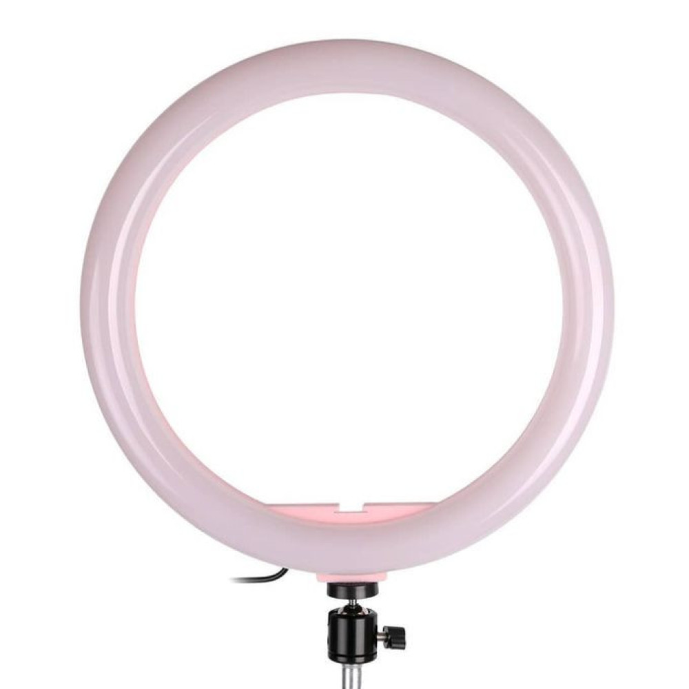 12'' Unique Selfie Ring Fill Led Light & Projection Stand